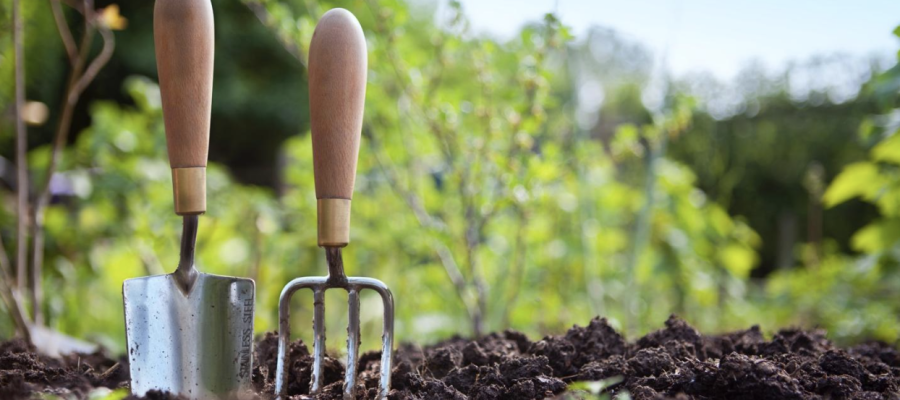 dirt with greenery in background and two tools sticking out of the dirt